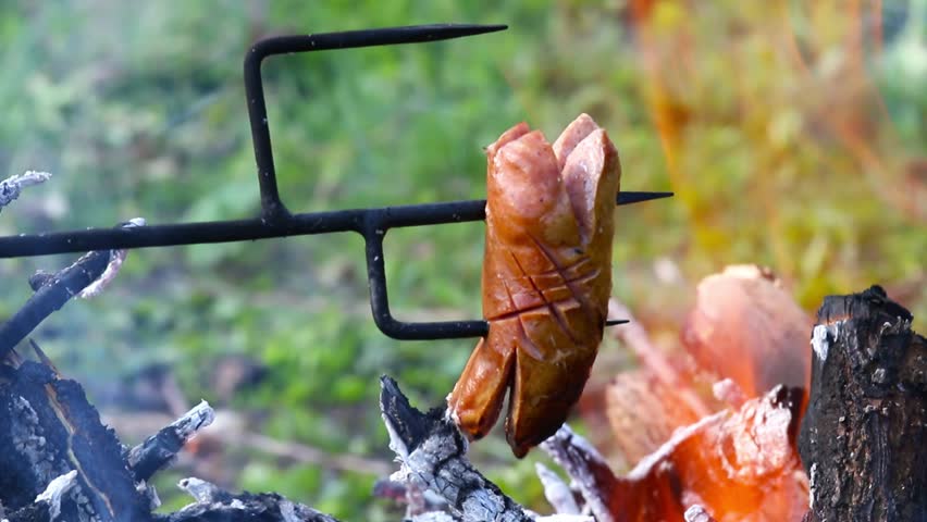 Grilling of fatty sausages on campfire. Popular outdoor activity on Czech countryside. Czech Republic, Central Europe.