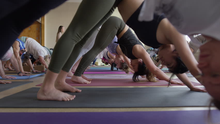 Medium slow motion zoom out shot of yoga class performing downward-facing dog / Provo, Utah, United States Royalty-Free Stock Footage #26381594