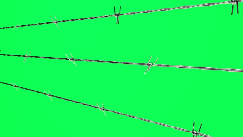 green barbed wire
