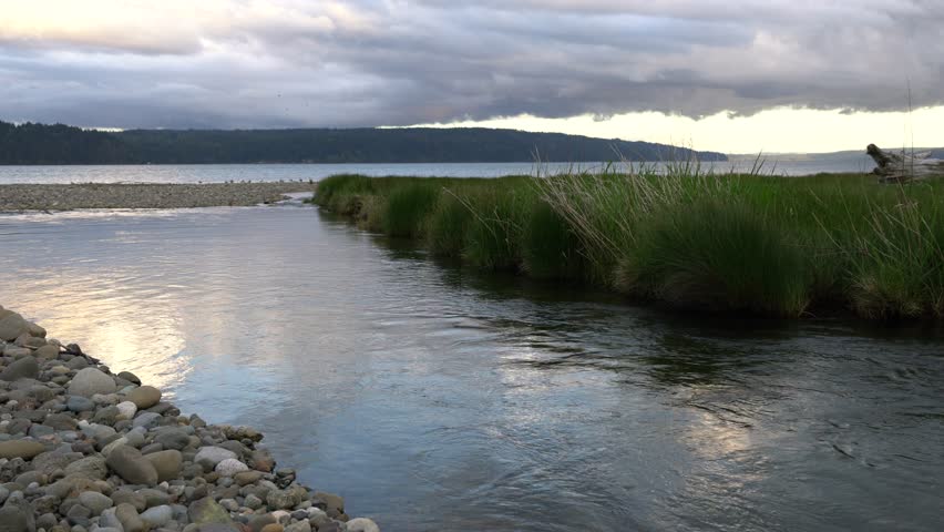 Eagle Creek Meets Hood Canal, Puget Sound, Washington State
