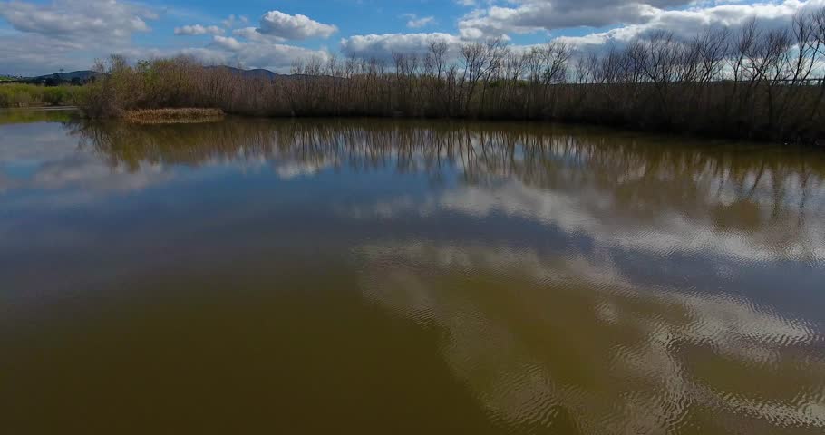 Flying over spring budding trees at Hansen Dam Park in 4k 24fps	