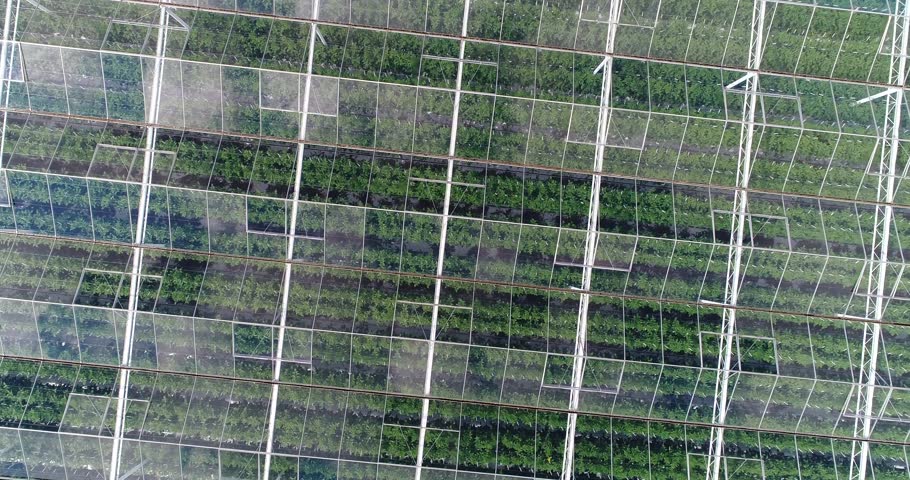 Aerial or top shot above a greenhouse. Organic cultivation of natural and fresh vegetables. Royalty-Free Stock Footage #26415191