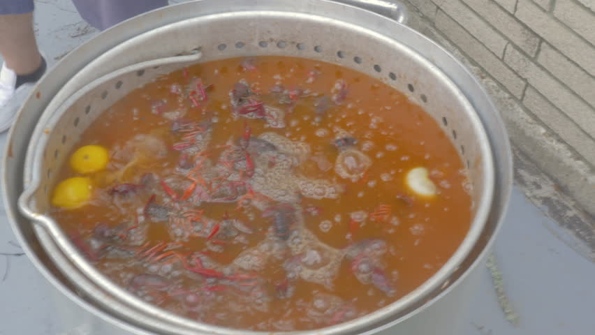 A man boiling crawfish in a spicy cajun broth, he throws on a lid to cover the boiling crawdads. The cajun shellfish are traditionally cooked at backyard social gatherings in spring in Louisiana.