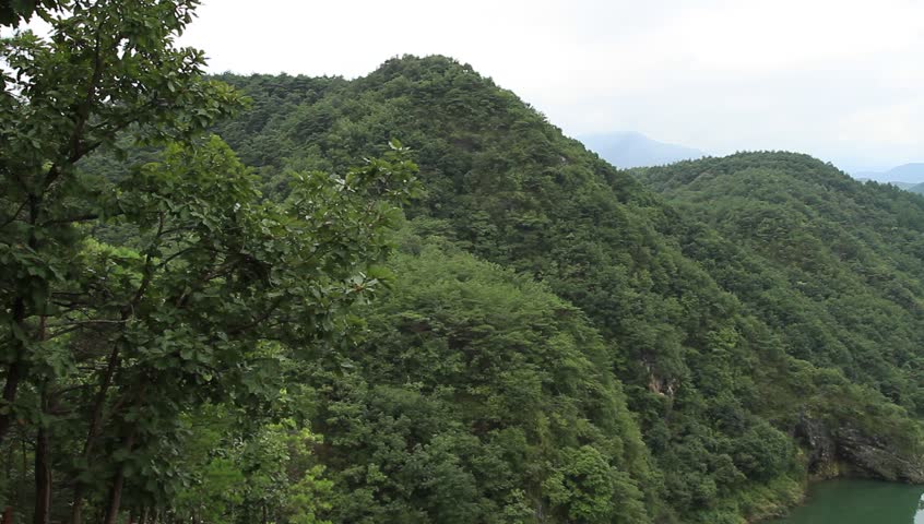 Pan right shot of Mugunghwa flowers and the lay of the land similar to the Korean Peninsula at Yeongwol in Korea 