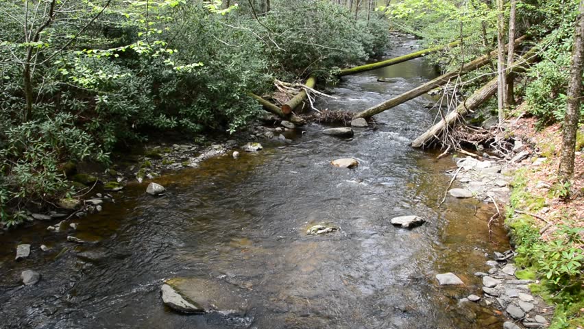 Dingmans Creek in Pennsylvania, USA.