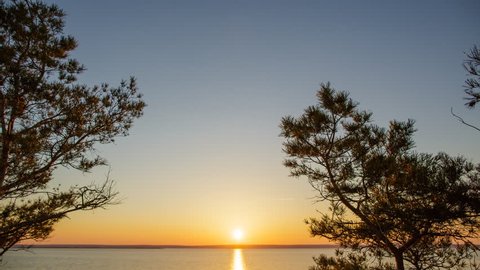4K Time Lapse. Between the branches of the pine, you can see the sunset over the horizon and the river. Clear sky and the water surface of the river in Russia