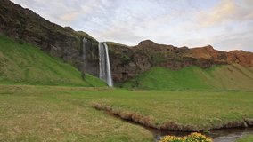Morning view of Seljalandfoss Waterfall on Seljalandsa river in summer. Colorful outdoor scene in Iceland, Full HD video (High Definition).