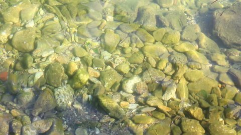 rocks lie under water