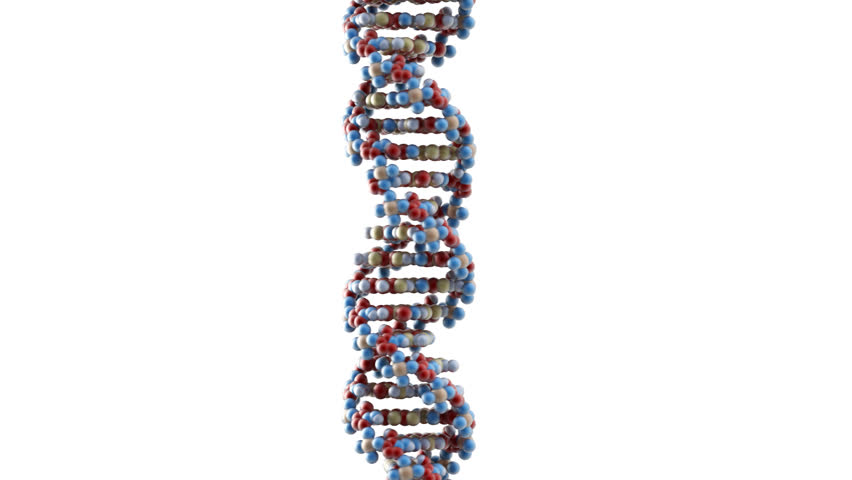 Rotating DNA strand