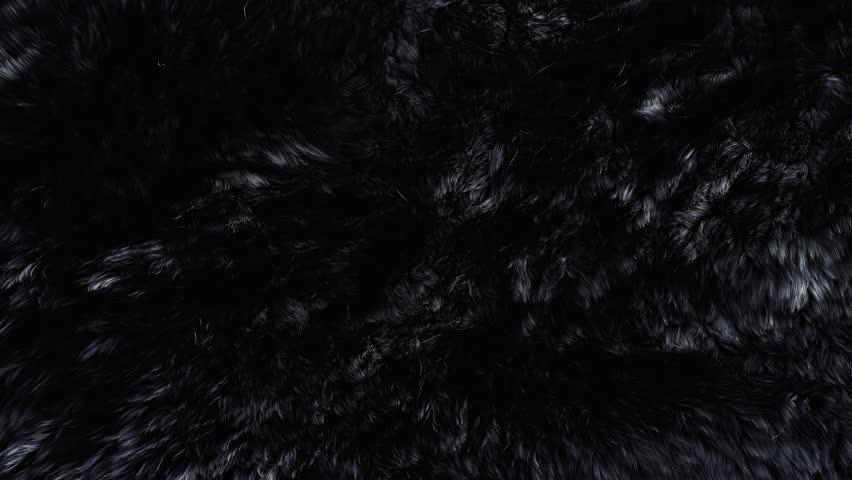 Beautiful black fur blowing on the wind, luxury abstract natural animation, close up macro shot of animal hair in slow motion. Royalty-Free Stock Footage #26476499