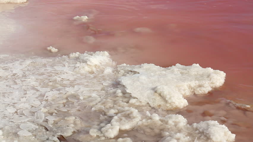 Deposits of salt on the shores of the pink lake | Shutterstock HD Video #26482343