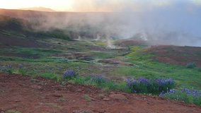 Erupting of the Great Geysir lies in Haukadalur valley on the slopes of Laugarfjall hill. Panorama of foggy summer morning in Southwestern Iceland, Europe. Full HD video (High Definition).