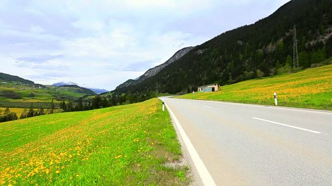 Locked-on shot of a road passing through a flower field, St. Moritz, Engadine Valley, Switzerland