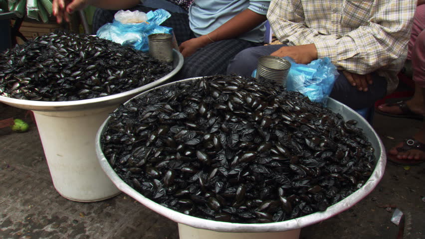 Cambodian women selling beetles at outdoor market