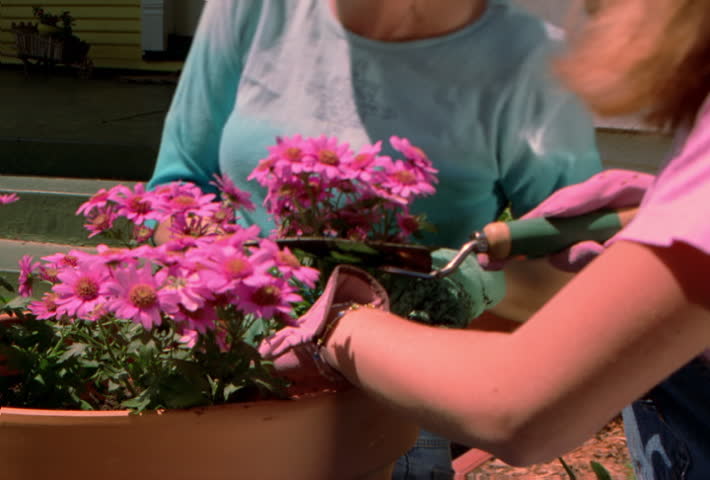 Close-up of mother and daughter planting flowers