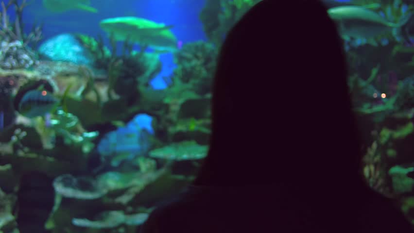 Young Woman in Glasess Take Picture of Aquarium at the Oceanarium, Using a Smartphone