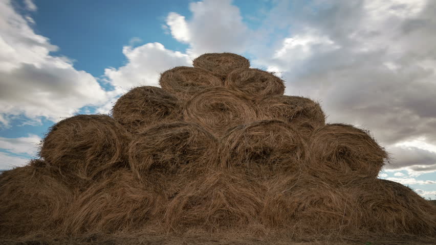 Time lapse of Bales of straw at the beautiful meadow landscape with moving clouds on the sky. Zoom-out low angle shot.