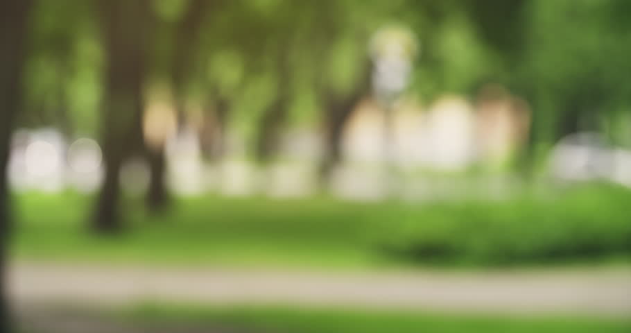 размытый задний фон. размытый ответ. ночной город боке. боке природа. размытый фон.