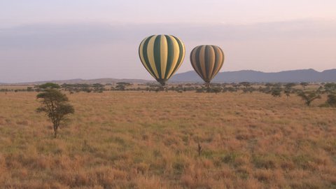 AERIAL, CLOSE UP: Safari hot air balloon flying above endless short grass savannah field in stunning Serengeti National Park, Tanzania. Tourists sightseeing, enjoying real African wildlife wilderness