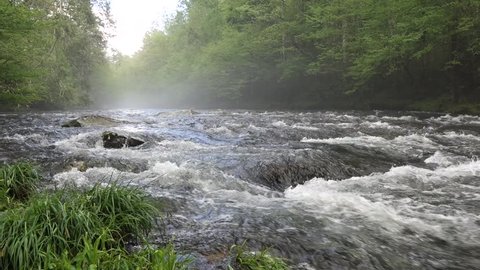 This video of the rushing Little River in spring 2017 shows the fog or mist over the river created by vapor from millions of trees & bushes that gives Great Smoky Mountain National Park its smoky name