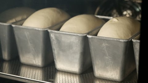 Bread baking in oven. Timelapse.