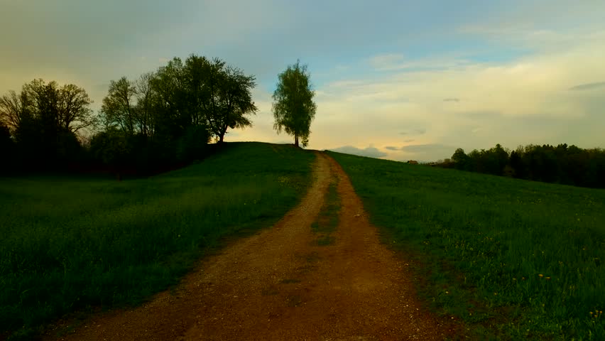 A path leading toward forest and hill up.