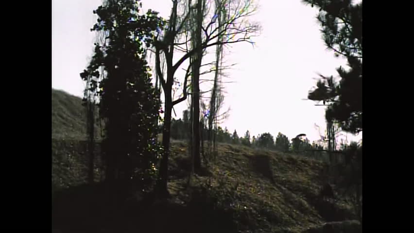 1970s: Helicopters of different kinds hover over a landing spot showing their abilities for observation in the 1970s.