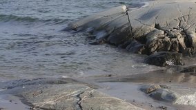 Stones at North Sea Coast in Norway