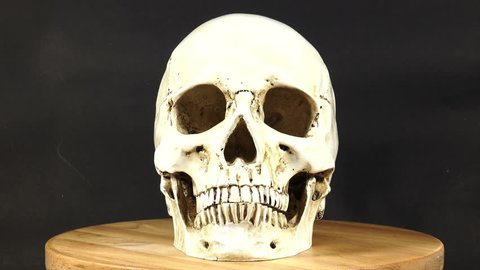 The skull is rotating on a black background.