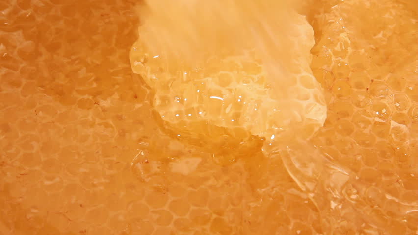 Honeycomb Filled with Honey ...