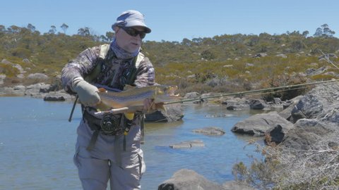 fast zoom in shot of an angler holding a large brown trout in tasmania's western lakes