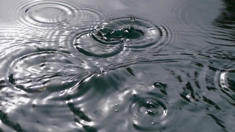 raindrops in water
