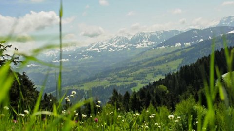 Meadow in wind with view to the alps in Austria