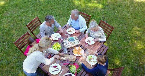 Aerial view of family having summer lunch in yard