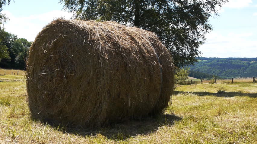 Full shot of hay bale in French landscape