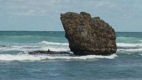 Rock on the Bathsheba beach on east coast of Barbados