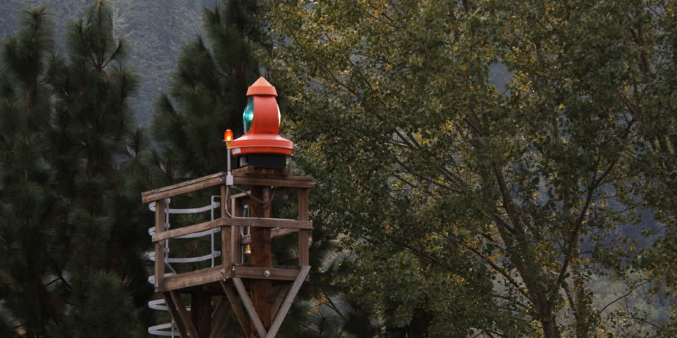 A turning signal light on a high platform near trees