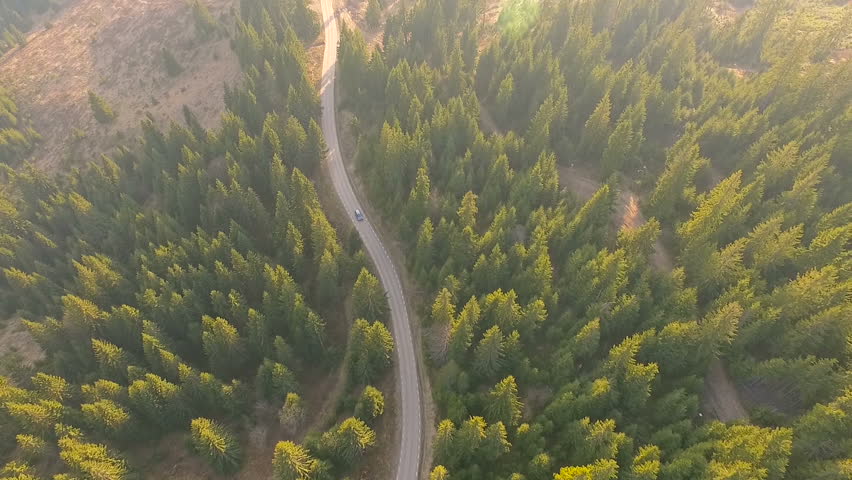 Aerial view flying over old patched two lane forest road with car moving green trees of dense woods growing both sides. Car driving along the forest road. AERIAL: Car driving through pine forest. Royalty-Free Stock Footage #26709079