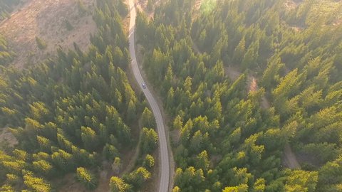 Aerial view flying over old patched two lane forest road with car moving green trees of dense woods growing both sides. Car driving along the forest road. AERIAL: Car driving through pine forest.