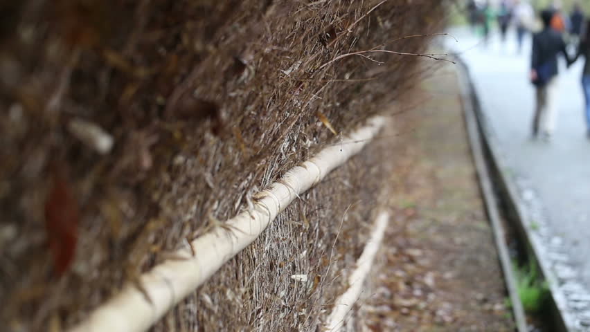 Arashiyama bamboo forest nature path way blur bakground