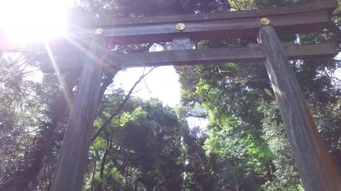 POINT OF VIEW: Walking under the Torii iat the entrance of Meiji-jingu shrine. Shibuya Tokyo, Japan 