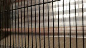 Close-up of ancient heating lamp and metal grill 4K 2160p 30fps UltraHD footage - Quartz heater lamp disconnected from energy source 3840X2160 UHD video - Powered by Shutterstock - Get 15% off with code: PIKWIZARD15