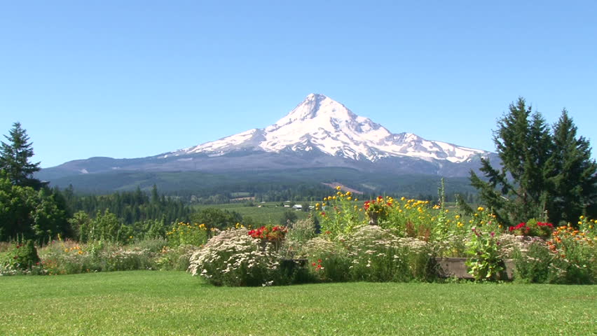 Mt Hood Oregon scenic with many colorful flowers in full bloom. 