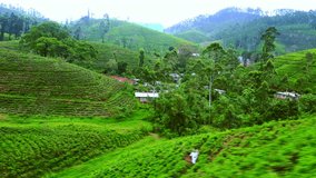 Tracking video of small farmers village houses at tea plantations. Sri Lanka