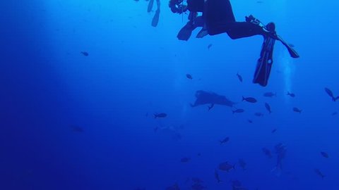 Incredible Giant Manta Rays of the Revillagigedo Islands, better known as Socorro Islands. Filmed at Roca Partida playing with scuba divers and their bubble trails (Latin name, Manta birostris)