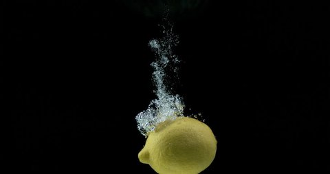 Yellow Lemon, citrus limonum, Fruit falling into Water against Black Background, Slow Motion 4K