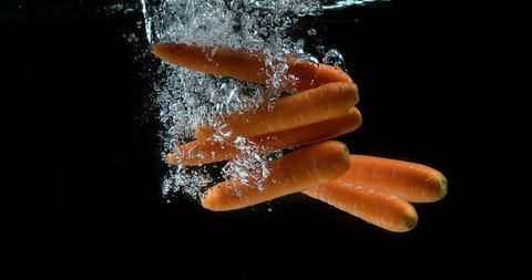 Carrots, daucus carota, Vegetables Entering Water against Black Background, Slow Motion 4k