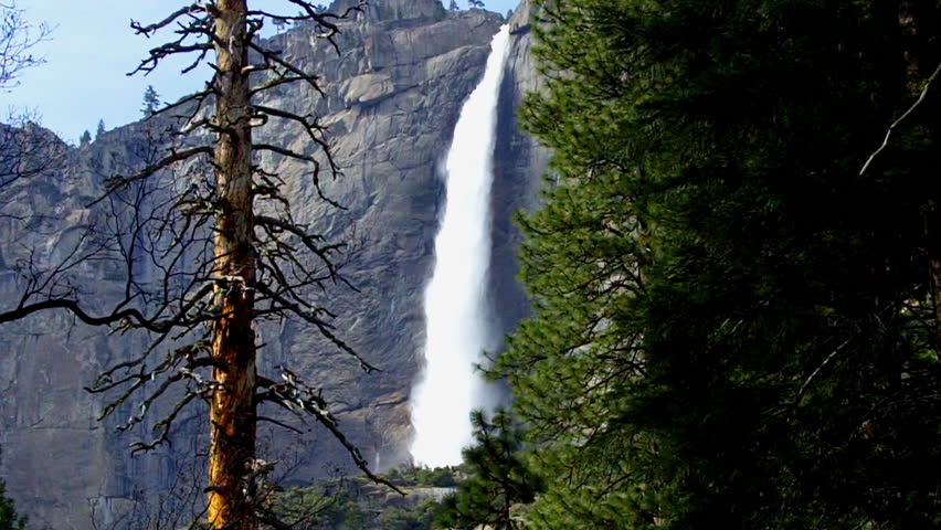 Yosemite Falls seen through the pine forest of Yosemite Valley in Yosemite