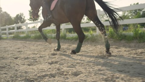 CLOSE UP, SLOW MOTION, DOF: Detail of horse lags secured with polos cantering along a sandy riding arena. Stallion with unrecognizable rider gallop running training for competition in outdoor manege