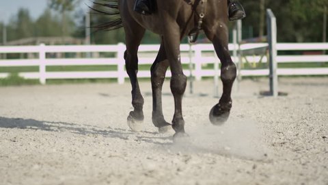 SLOW MOTION, CLOSE UP, DOF: Detail of horse legs working trot in big sandy outdoor riding arena. Female rider riding traver in dressage. Stallion performing haunches-in competing on the competition
